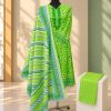 Chaiti Pure Cotton Three Piece